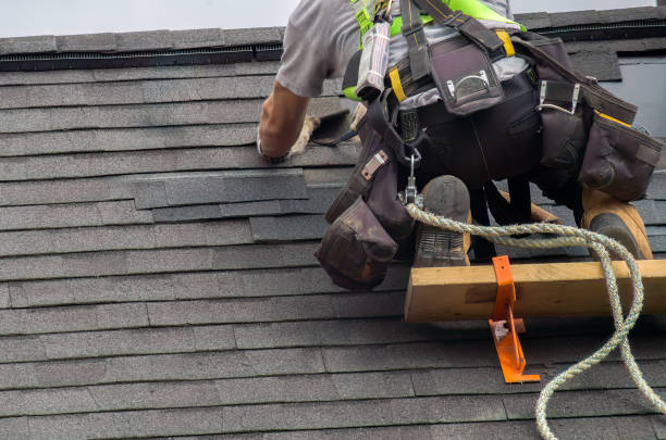 Best Roof Maintenance Services  in Nashotah, WI